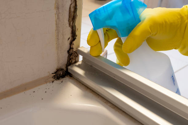 Forensic Mold Investigation in West Haven Sylvan, OR